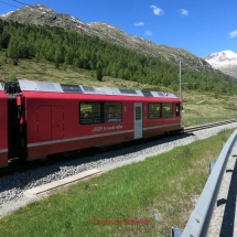 Bernina Pass mit dem Fahrrad, Bernina Express