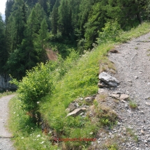 vom Gemmipass ins Kandertal mit dem Fahrrad