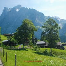 Große Scheidegg mit dem Fahrrad