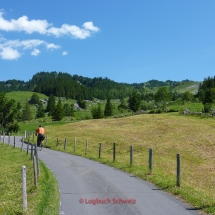 Große Scheidegg mit dem Fahrrad