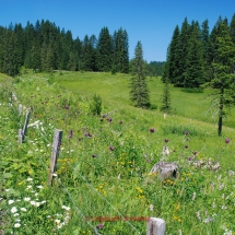 Habkern - Lombachalpe mit dem Fahrrad