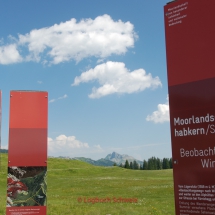 Habkern - Lombachalpe mit dem Fahrrad