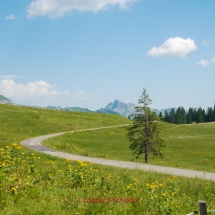 Habkern - Lombachalpe mit dem Fahrrad