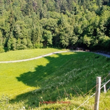 Habkern - Lombachalpe mit dem Fahrrad