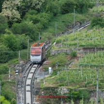 Jura Südfuss, Vinifuni