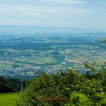 Jura Südfuss, Aare