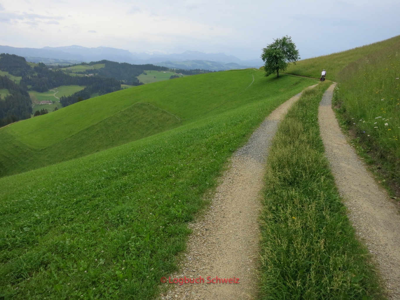 Lüderenalp mit dem Fahrrad