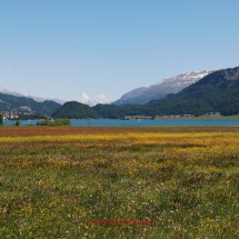 Engadin, Seenplatte