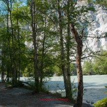 Rheinschlucht – Ruinaulta