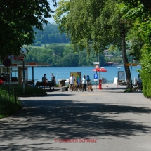 Greifensee