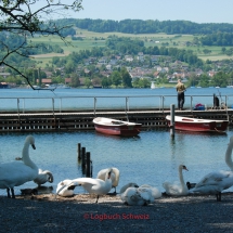 Greifensee