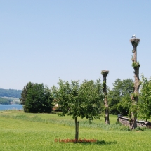 Greifensee