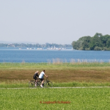 Greifensee