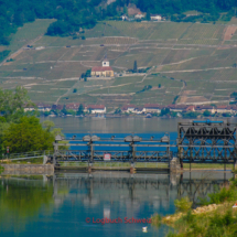 Aare Fahrradtour