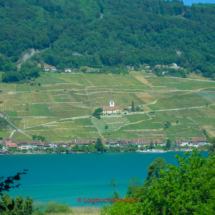 Aare Fahrradtour Bieler See