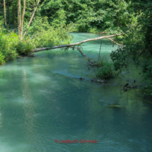 Aare Fahrradtour, Alte Aare