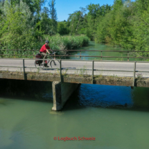 Aare Fahrradtour, Alte Aare