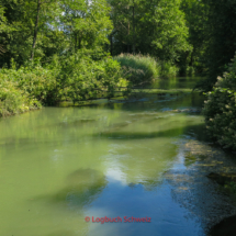 Aare Fahrradtour, Alte Aare