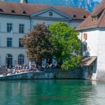 Aare Fahrradtour Solothurn