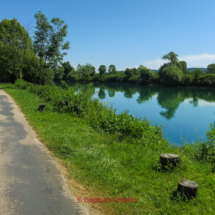 Aare Fahrradtour