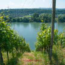 Aare Fahrradtour