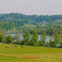 Aare Fahrradtour