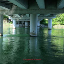 Aare Fahrradtour