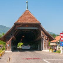 Aare Fahrradtour Wangen an der Aare