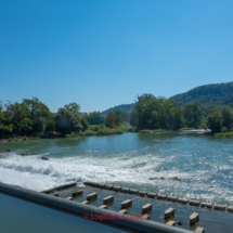 Aare-Fahrradtour-0747-Abschnitt-7