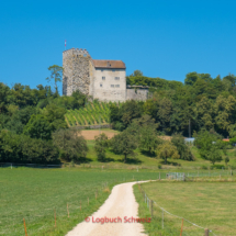 Aare-Fahrradtour-0750-Abschnitt-7