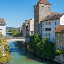 Aare-Fahrradtour-0753-Abschnitt-7