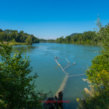 Aare-Fahrradtour-0761-Abschnitt-7