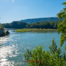 Aare-Fahrradtour-0765-Abschnitt-7