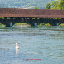 Aarestadt-Wangen-an-der-Aare-0003