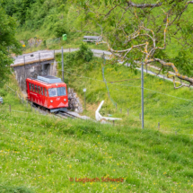 Appenzeller Bahnen Rheineck-Walzenhausen