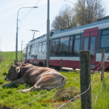 Appenzeller Bahnen Trogenbahn