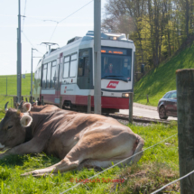 Appenzeller Bahnen Trogenbahn