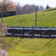 Appenzeller Bahnen Trogenbahn