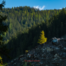 Arosa - Chur, Fahrradtour