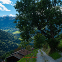 Arosa - Chur, Fahrradtour