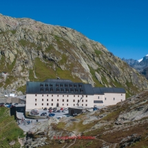 Bernhardiner auf dem Großen St. Bernhard