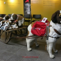 Barryland in Martigny