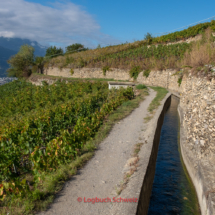 Bisse-de-Clavau-0021-Suonenwanderung