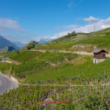 Bisse-de-Clavau-0025-Suonenwanderung