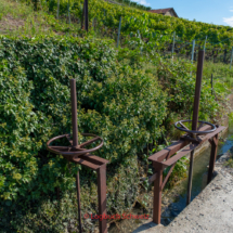 Bisse-de-Clavau-0038-Suonenwanderung