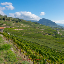 Bisse-de-Clavau-0049-Suonenwanderung