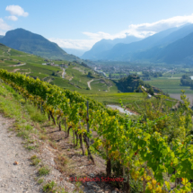 Bisse-de-Clavau-0053-Suonenwanderung