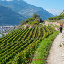 Bisse-de-Clavau-0055-Suonenwanderung