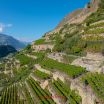 Bisse-de-Clavau-0063-Suonenwanderung