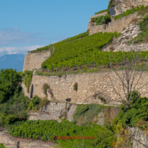 Bisse-de-Clavau-0065-Suonenwanderung